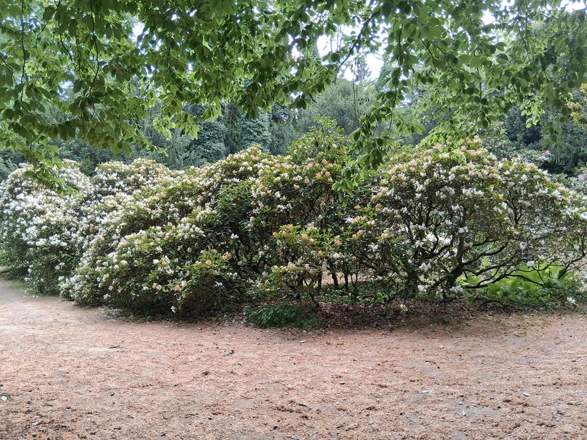 Zámecký park Buchlovice 