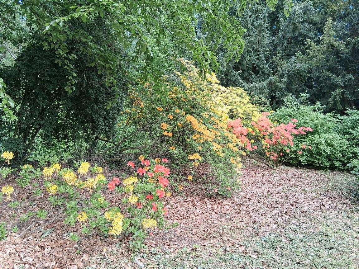 Zámecký park Buchlovice 