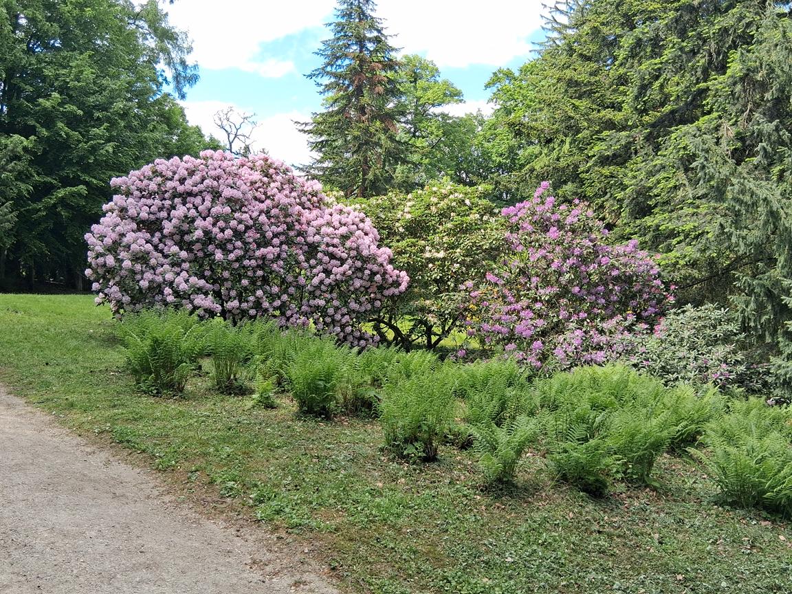 Zámecký park Buchlovice 