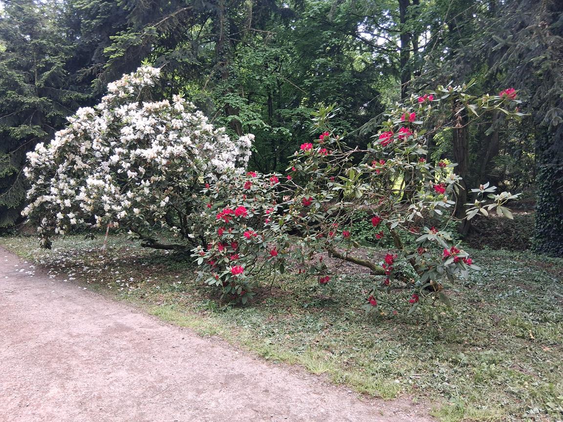Zámecký park Buchlovice 