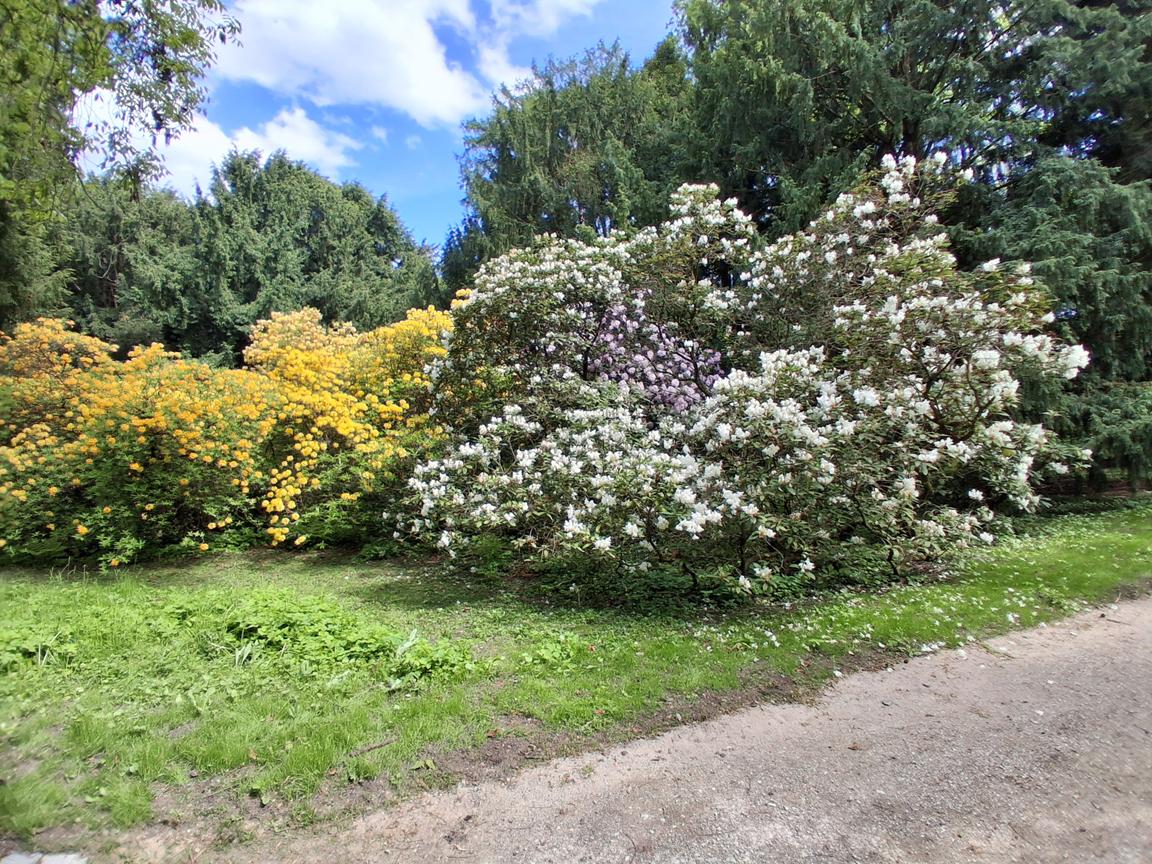 Zámecký park Buchlovice 
