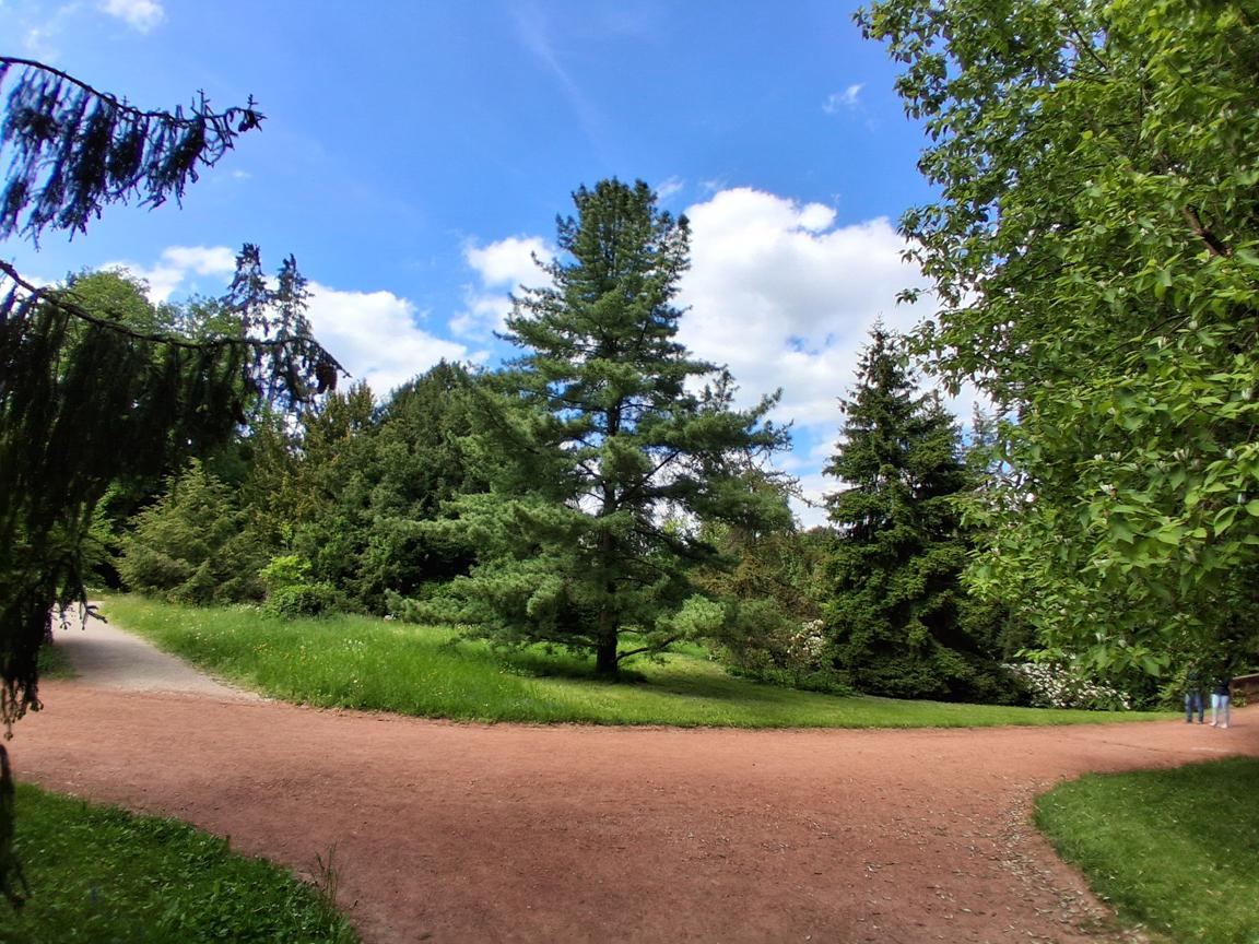 Zámecký park Buchlovice 