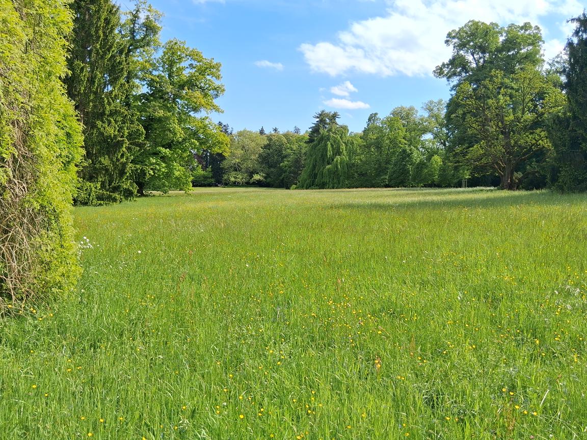 Zámecký park Buchlovice 