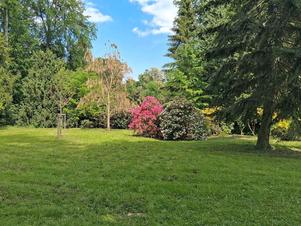Zámecký park Buchlovice 