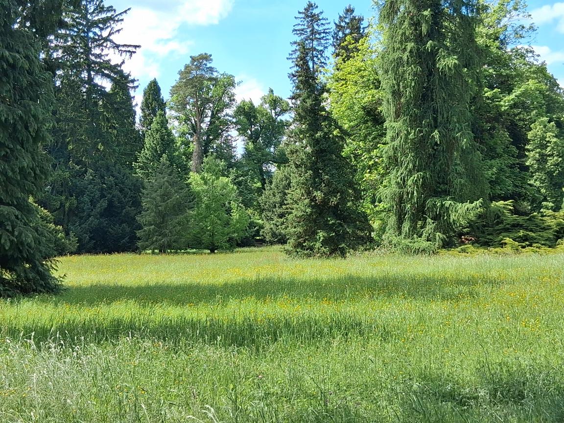Zámecký park Buchlovice 