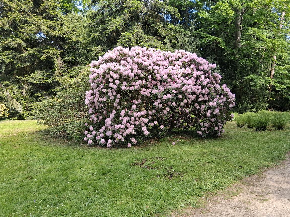 Zámecký park Buchlovice 