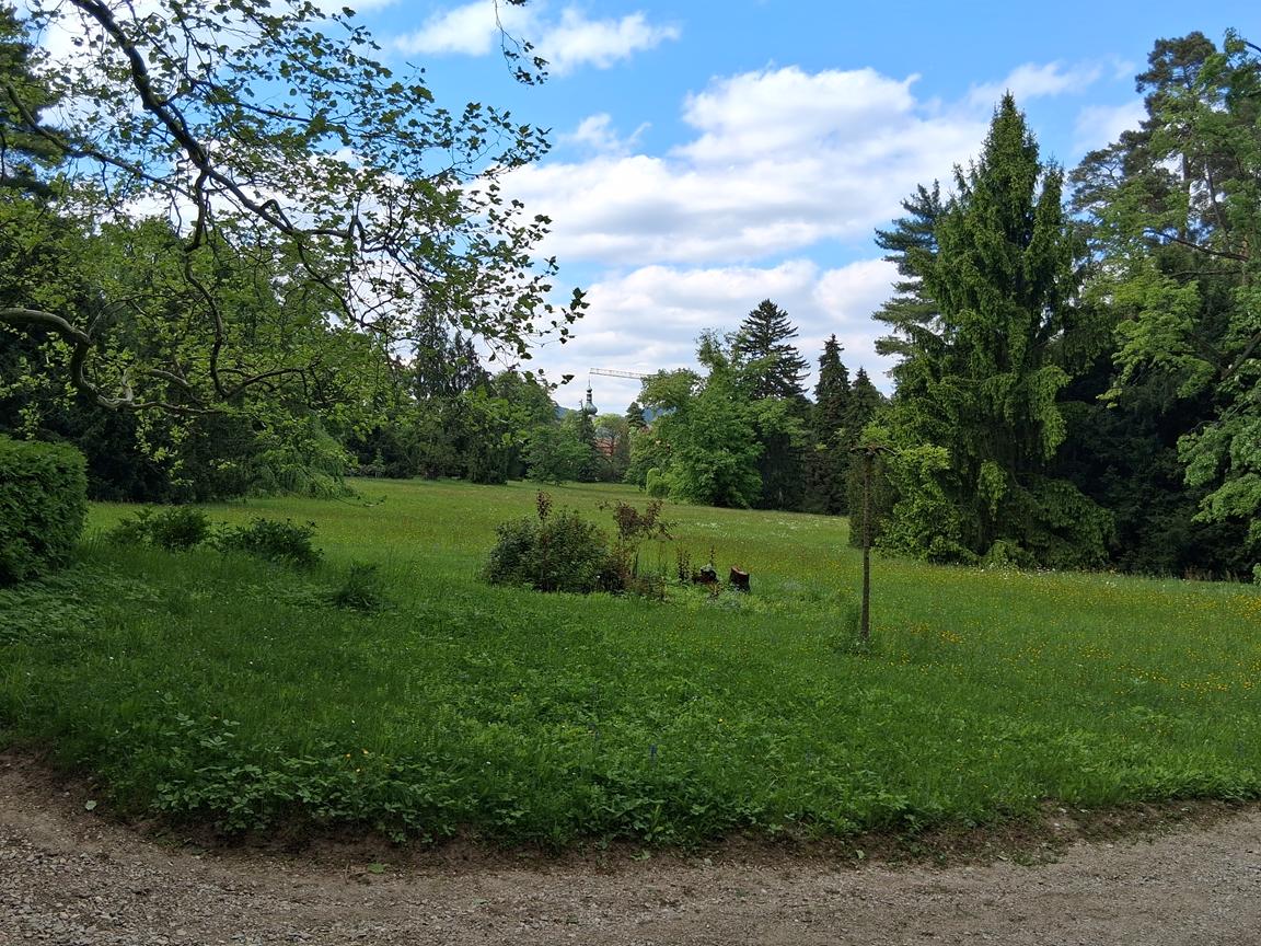 Zámecký park Buchlovice 