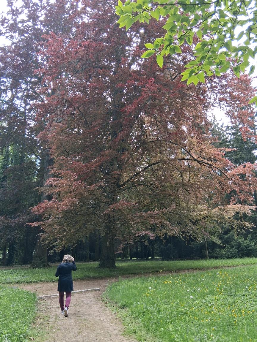 Zámecký park Buchlovice 