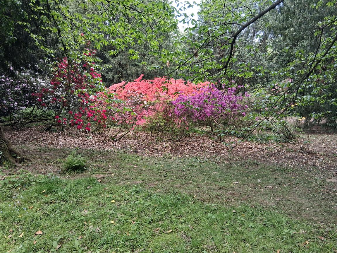 Zámecký park Buchlovice 