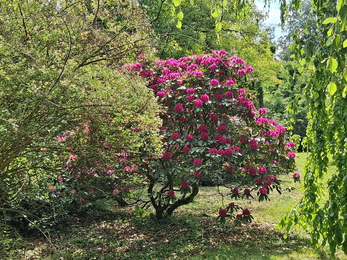 Zámecký park Buchlovice 