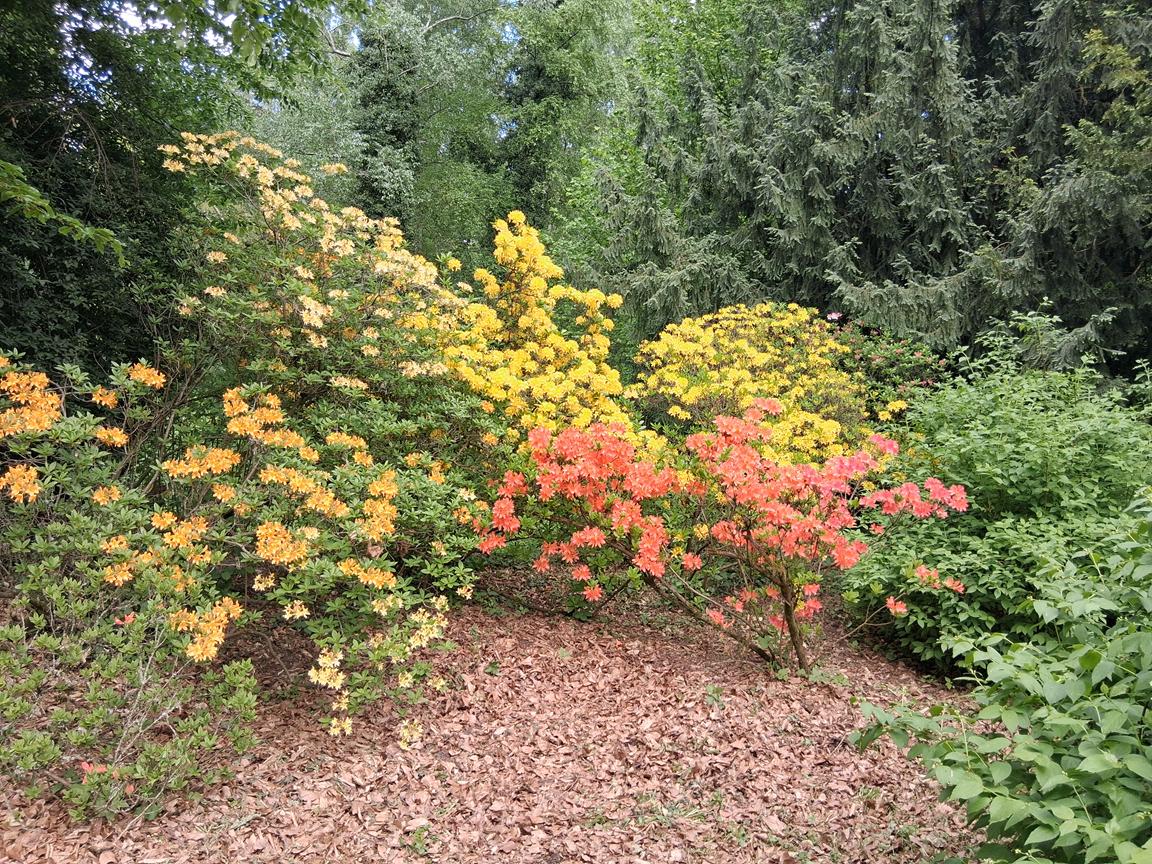 Zámecký park Buchlovice 
