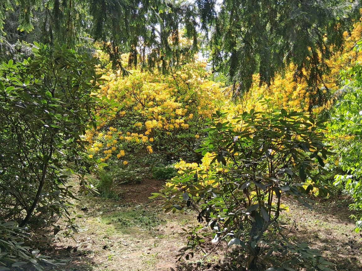 Zámecký park Buchlovice 